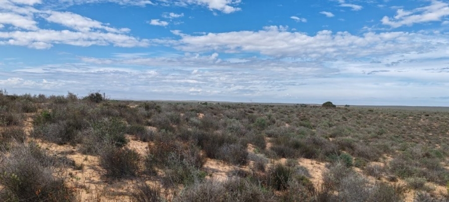 0 Bedroom Property for Sale in Koekenaap Western Cape